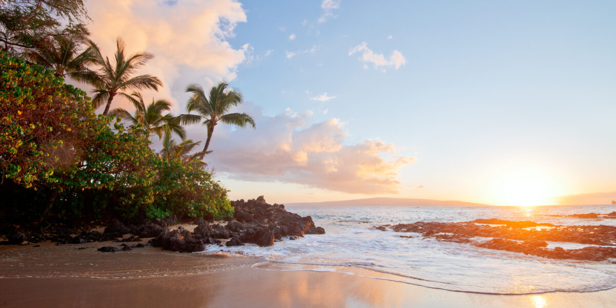 No, You Should Not Be Taking Your Vacation in Maui Right Now