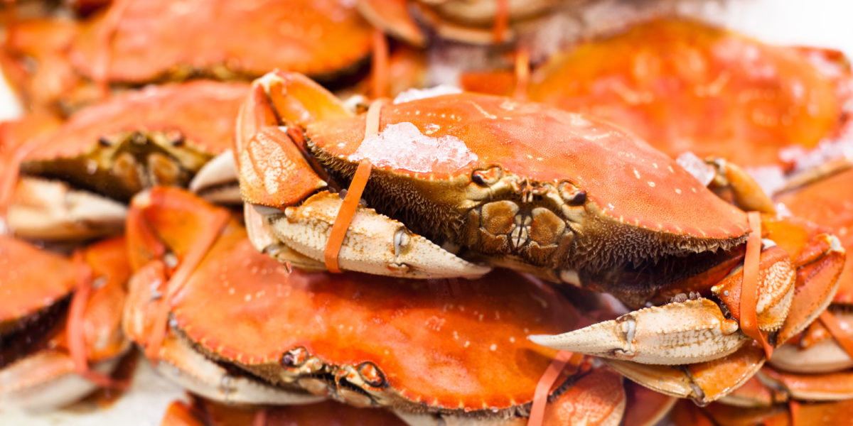 Dungeness Crab Season Is Officially Delayed: Here Are 9 Seafood Recipes to Tide You Over