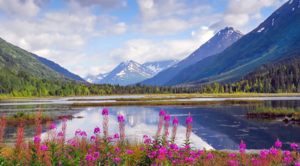Get to Know Each of Alaska's Eight Awe-Inspiring National Parks