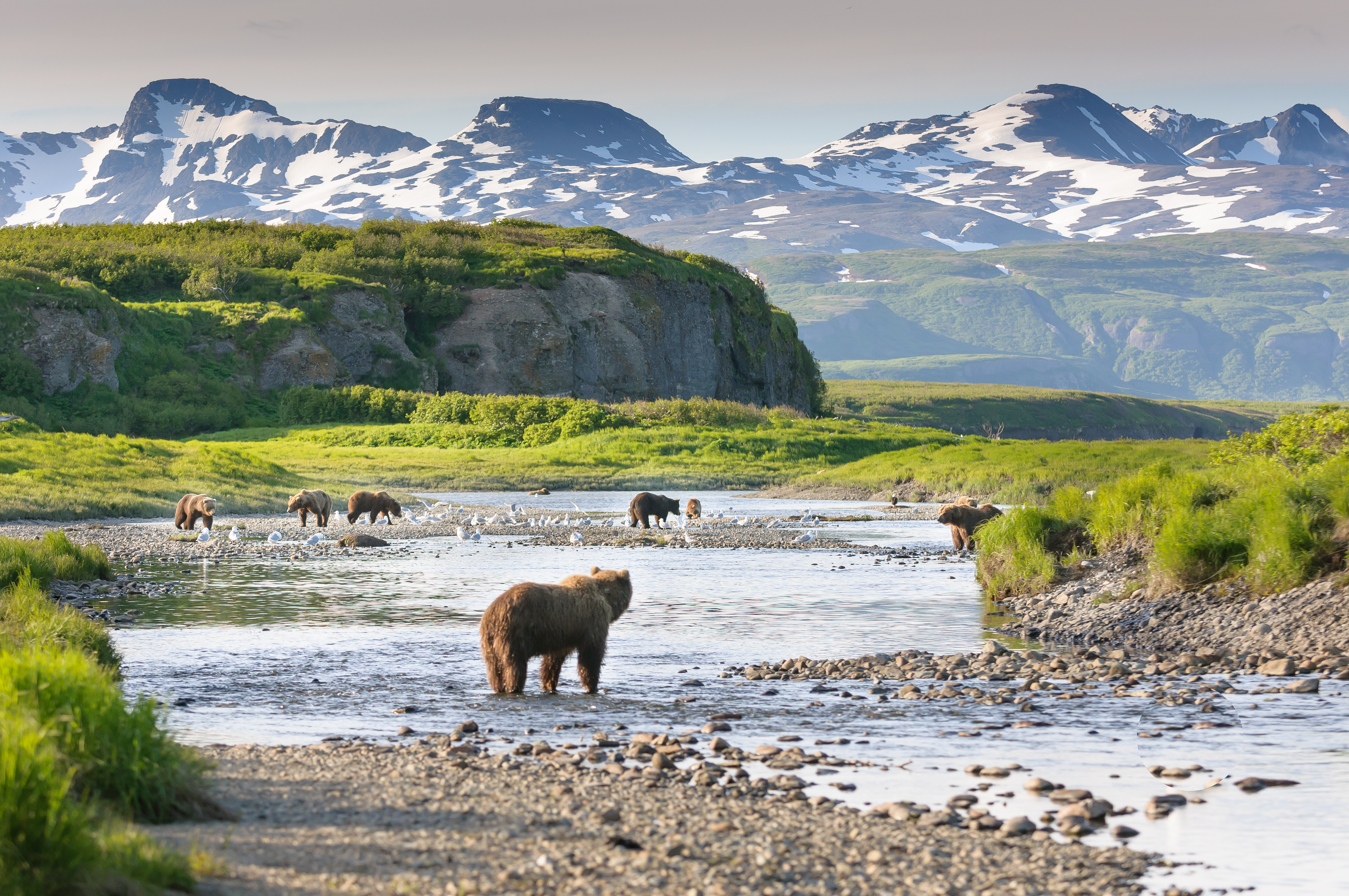 Самый северный нац парк. Национальный парк Катмай. США Аляска национальный парк Катмай. Заповедник Рангел-сент-Элайас. Штат Аляска природа.