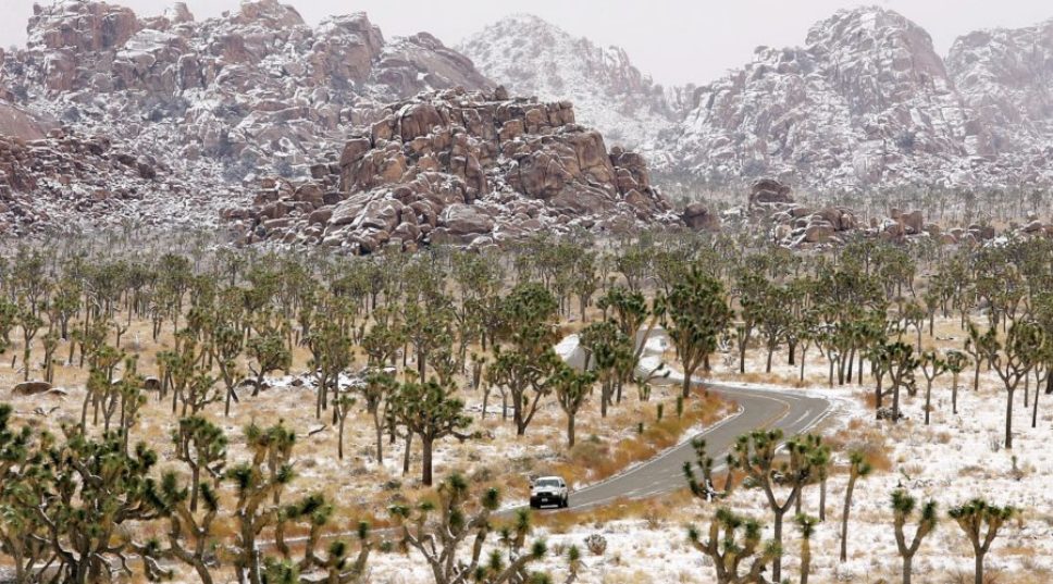 Joshua Tree National Park Looks Insanely Beautiful After Snow