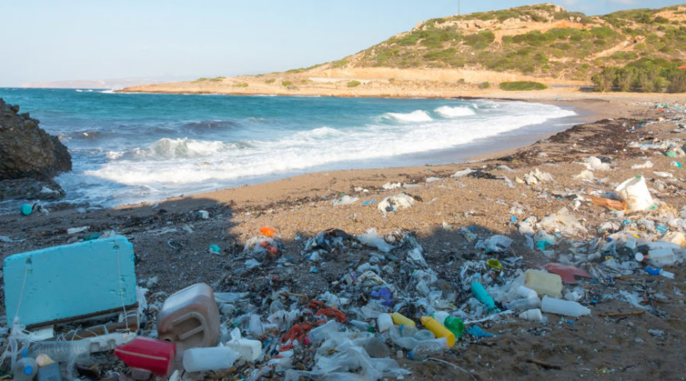 Here Are All the States Where Plastic Bags Are Banned in the West