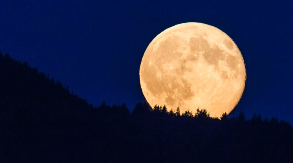 You’ve Got One More Chance to Catch a Supermoon in 2020