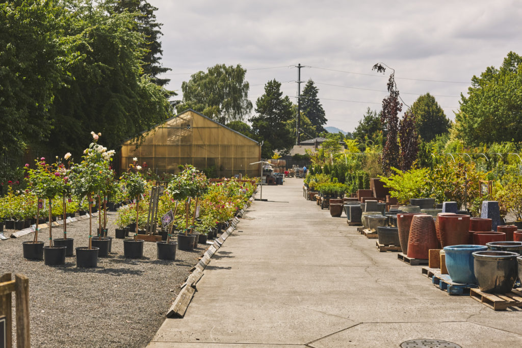 Nursery in Northern California with vegetables, pots, and an outhouse.