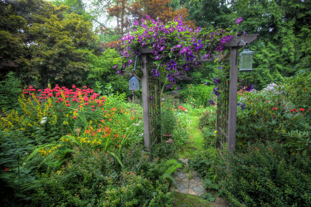 Northwest garden with a variety of luscious plants and a wooden arch with lanterns and a bird feeder.