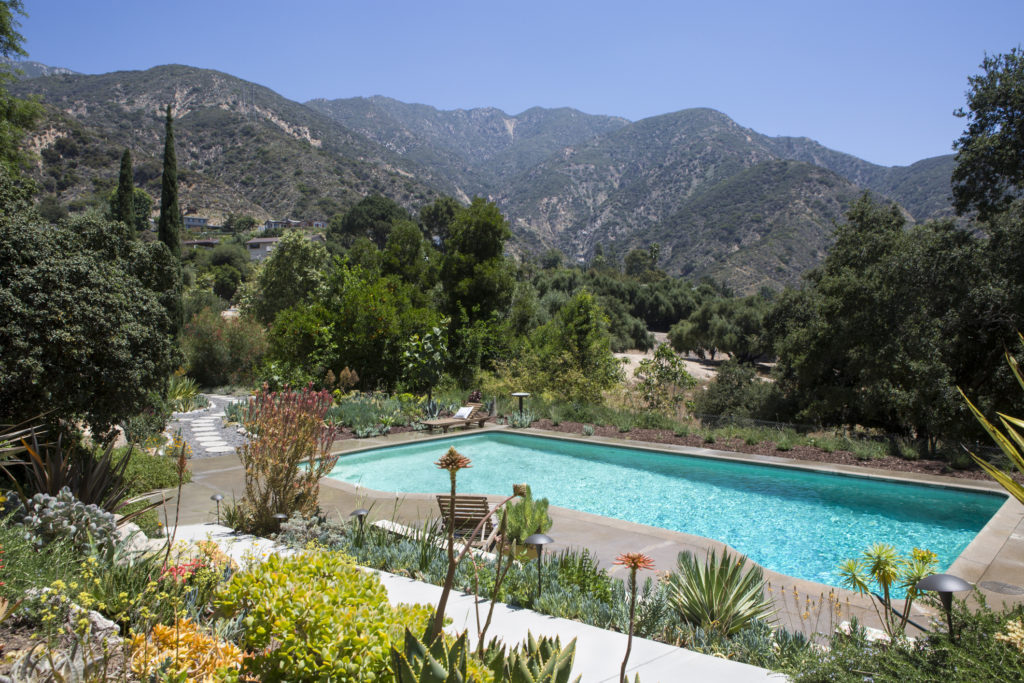 Large CA yard with pool, succulent and a view of the san gabriel mountains on a clear blue day.