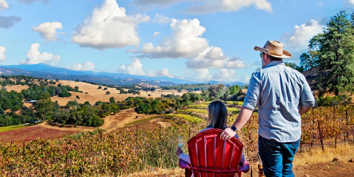 Relaxing in a Tuolumne County Vineyard