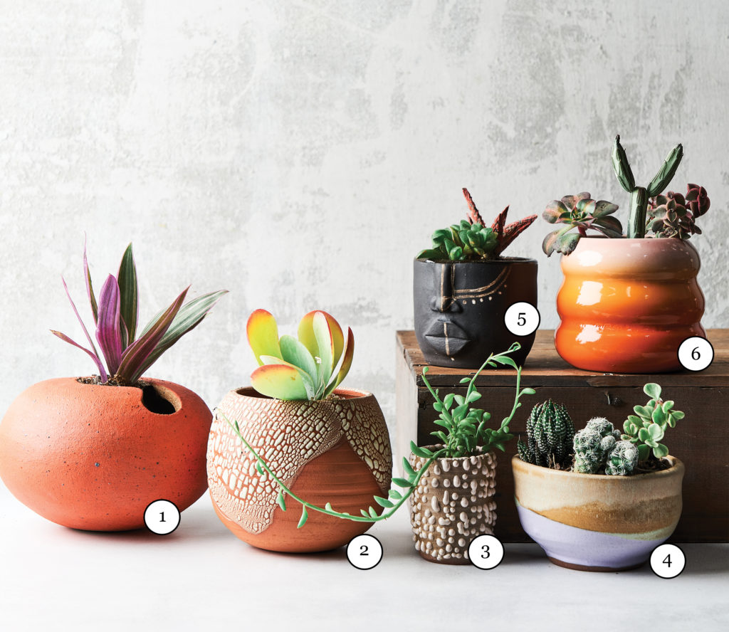 Ceramics and planters for succulents