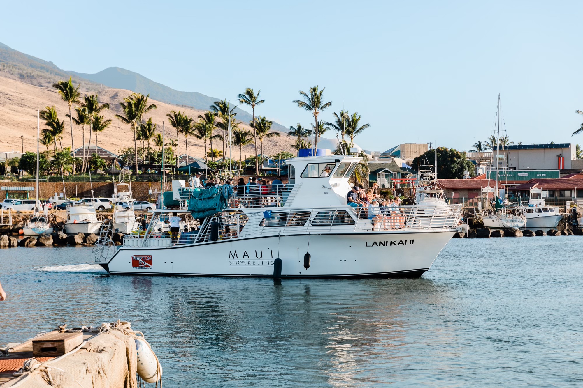 hero-whale-watch-maui-snorkeling-lani-kai