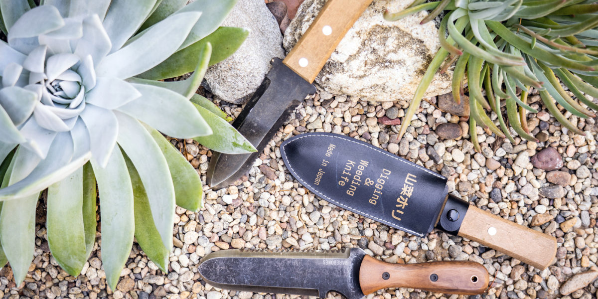 Hori Hori garden knife with succulent