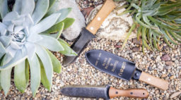 Hori Hori garden knife with succulent
