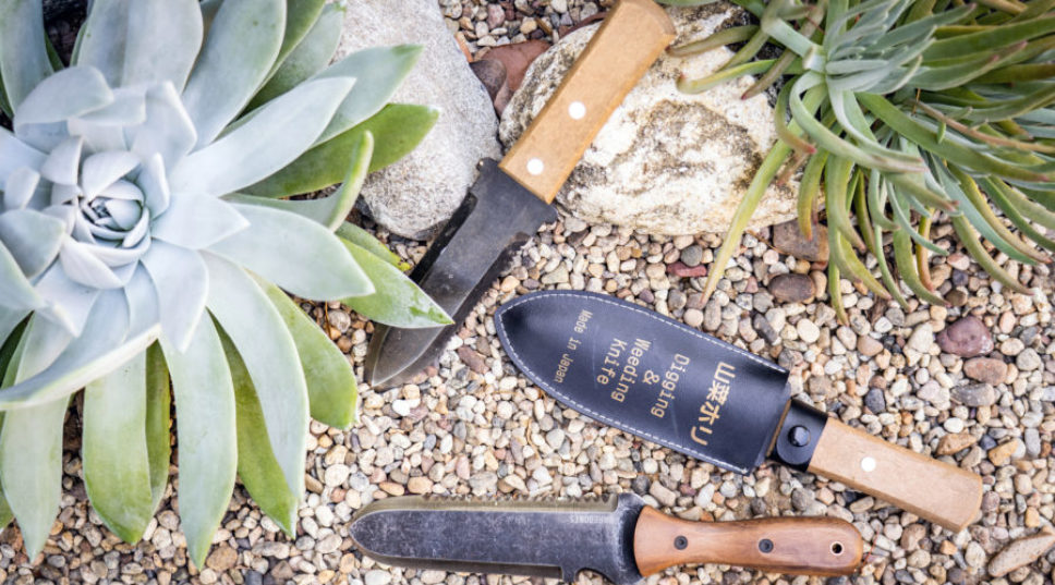 This is the $25 Tool That Every Gardener Needs