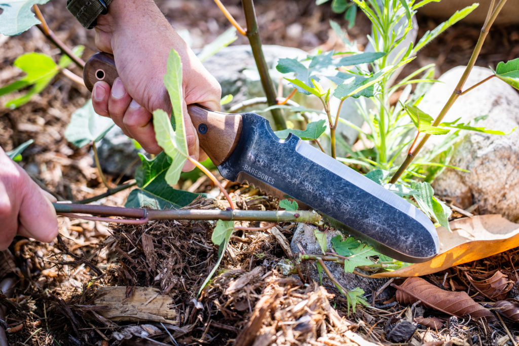 Hori Hori garden knife - cutting plant in garden