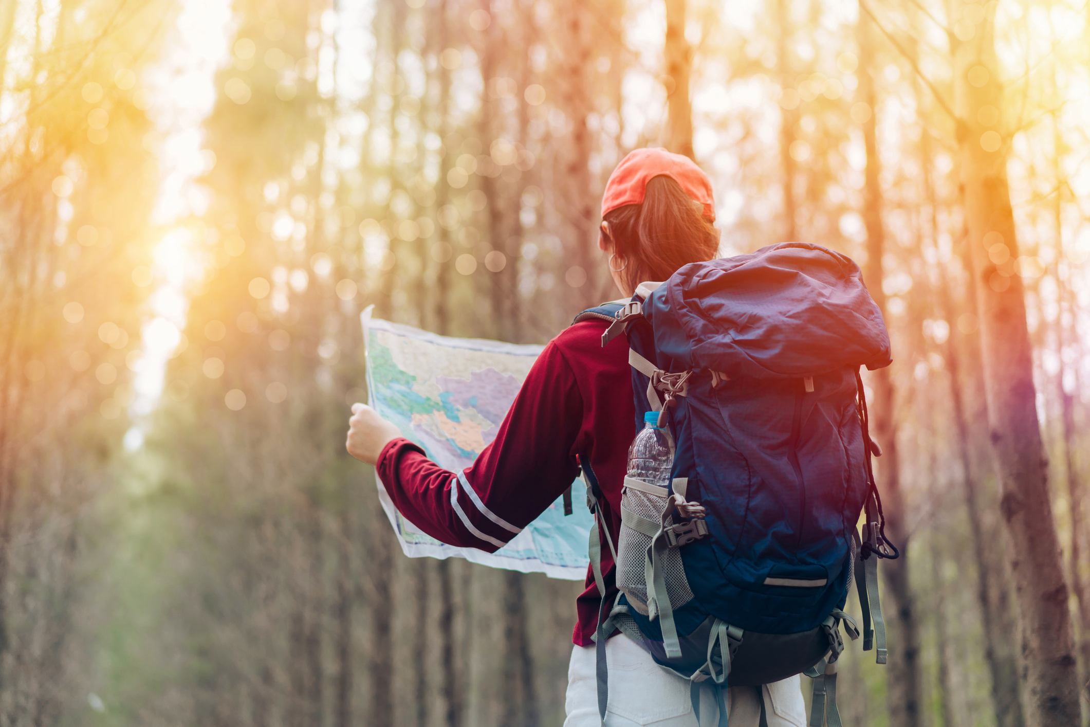 How to Survive Getting Lost While Hiking