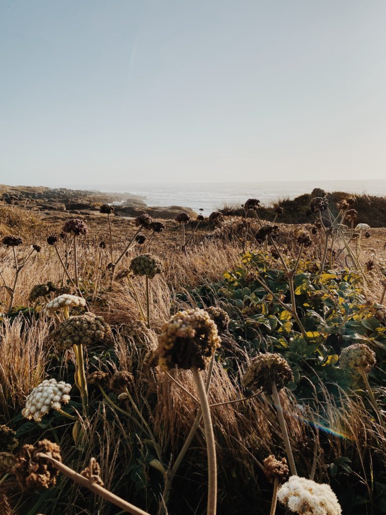 Yachats, Oregon