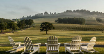 Adirondack chairs at Stoller Family Estate in Willamette Valley, Oregon