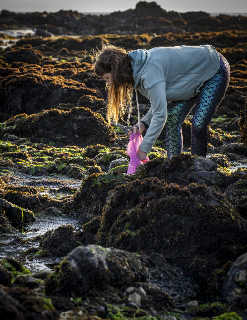 Kelpful's Melissa Hanson gathering seaweed