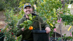 Kevin Espiritu with citrus tree