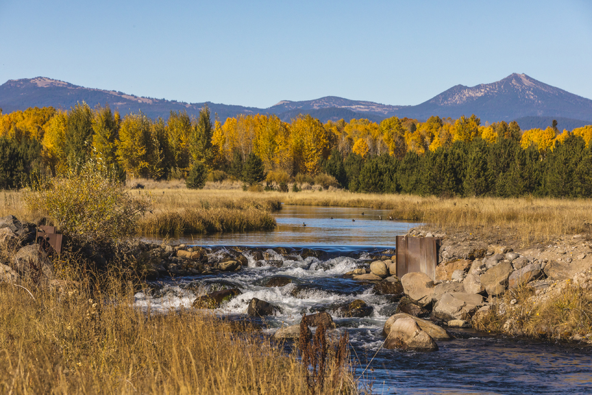 Salmon Will Run Free for the First Time in 100 Years Thanks to History’s Largest Dam Removal Project