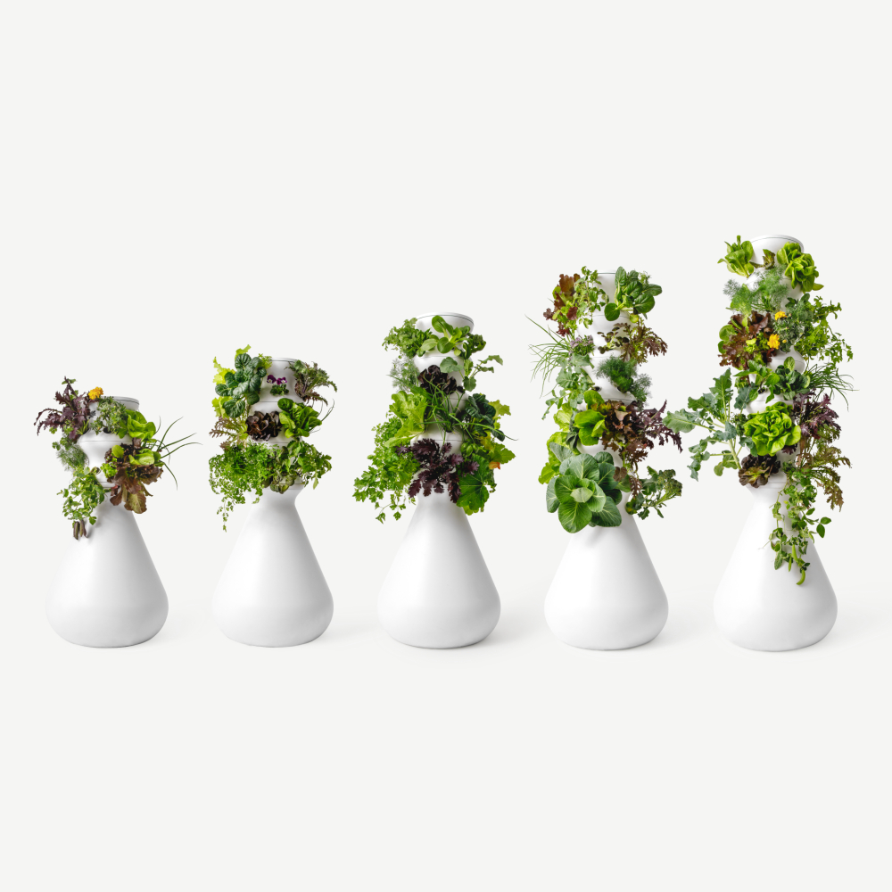 Hydroponic Hack: Lettuce Grow Farmstand Lineup