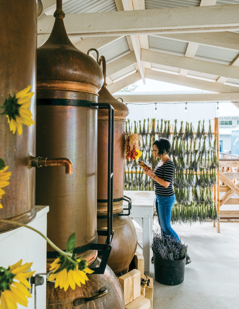 Copper sill and sunflowers at Los Poblanos Inn and Lavender Farm