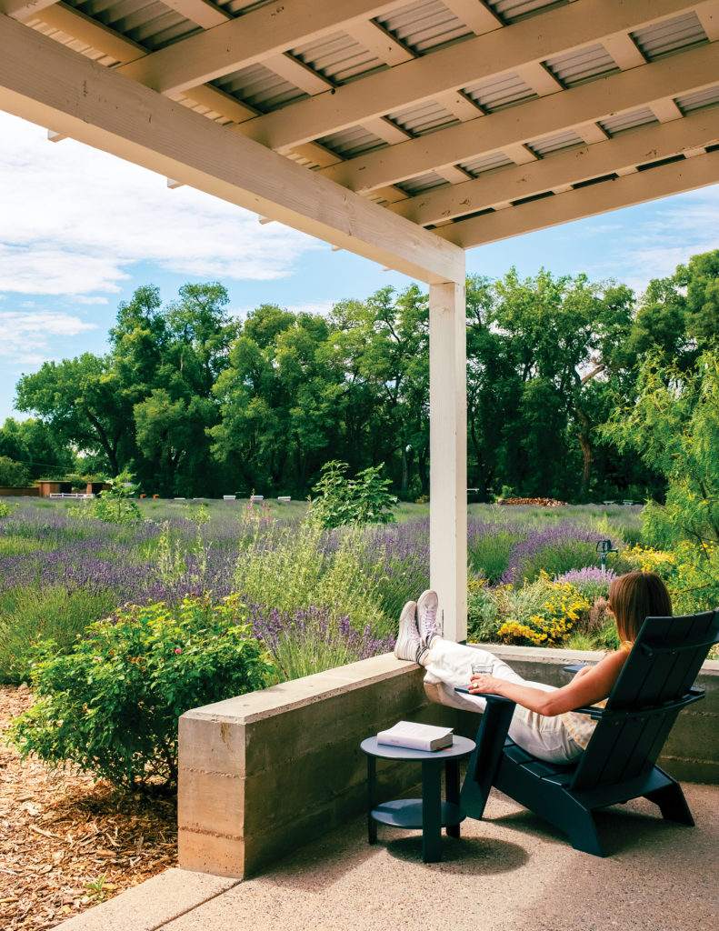 Adirondack chair view at Los Poblanos Inn and Lavender Farm