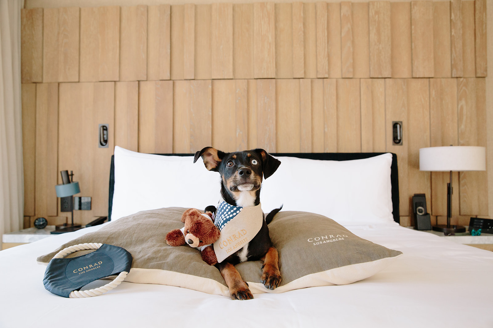 These Are the Best Pet-Friendly Hotels in the West with Amazing Amenities