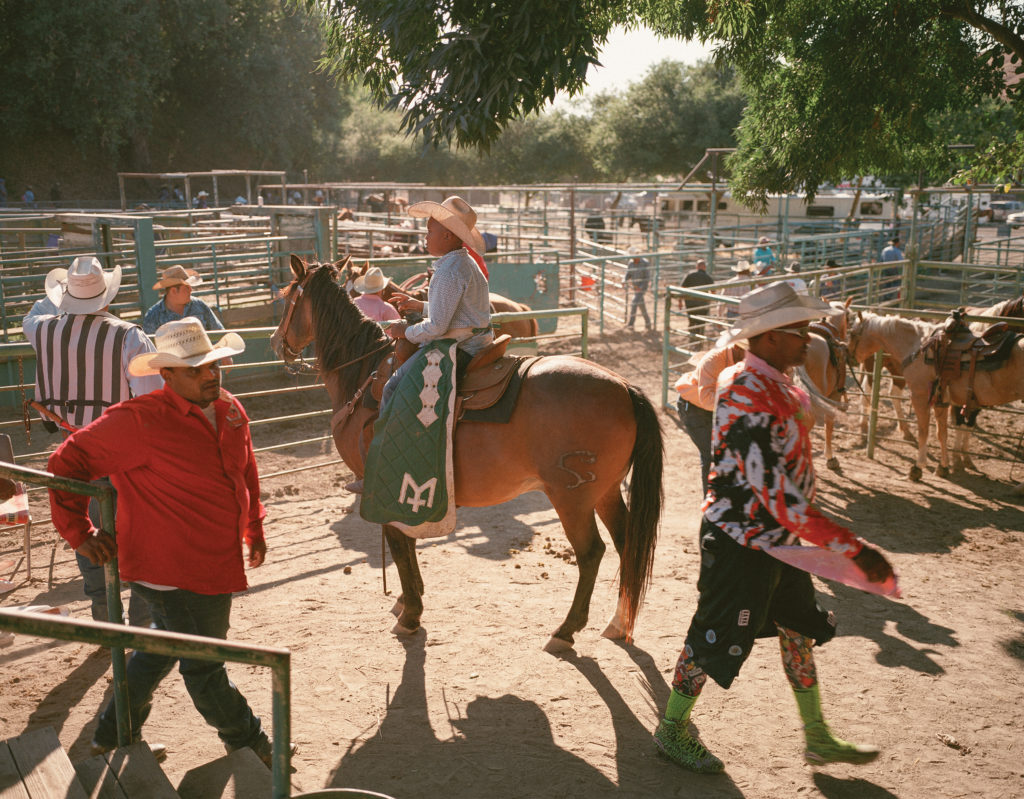 Bill Pickett Rodeo horses