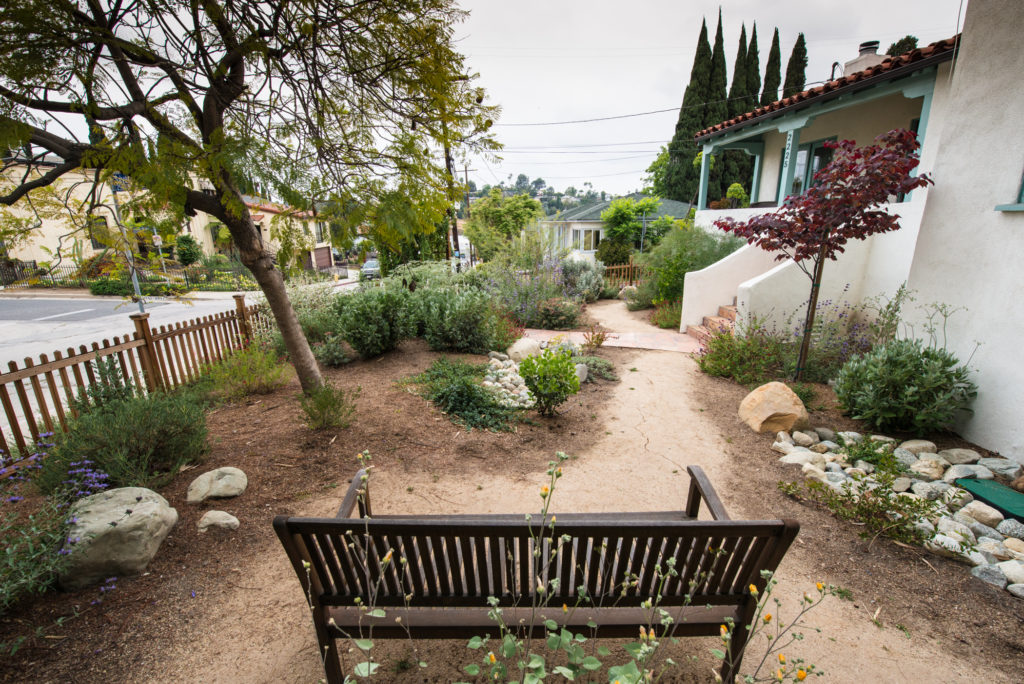 Native plant front yard with bench