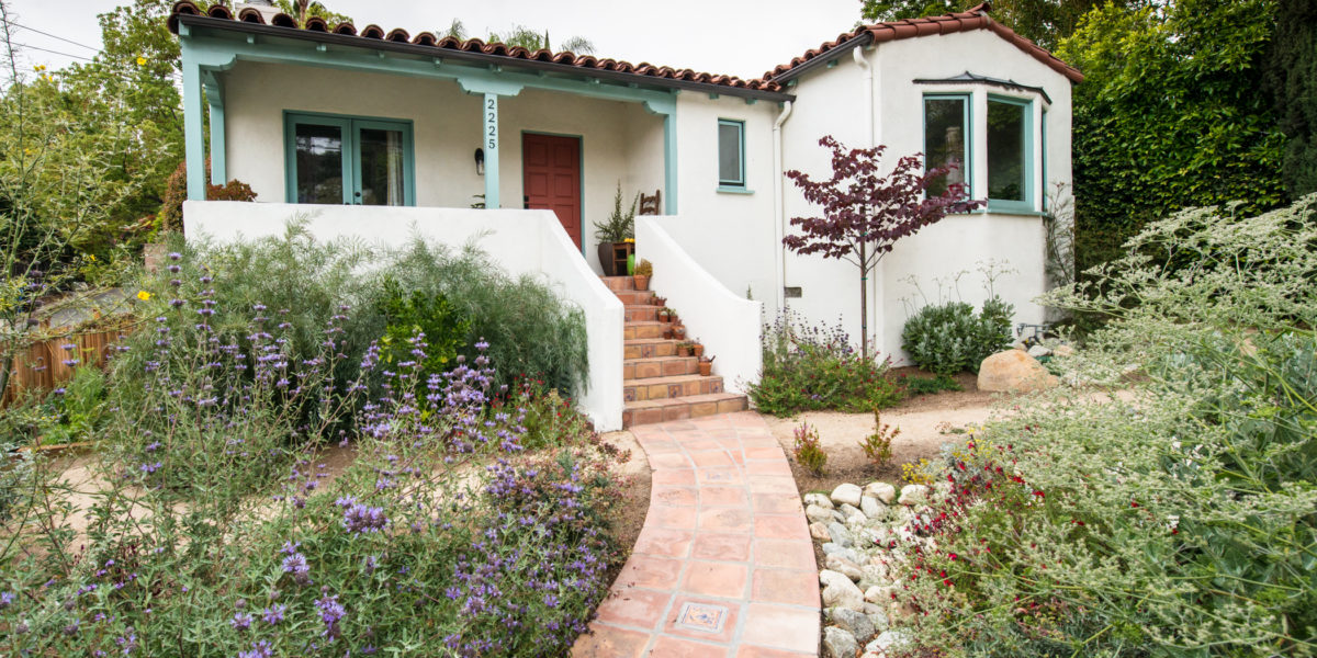 Purple flowers and front walkway in native plant yard