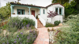 Purple flowers and front walkway in native plant yard