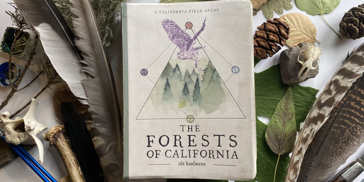 Our Favorite Wilderness Artist Has a New Book on the Forests of California