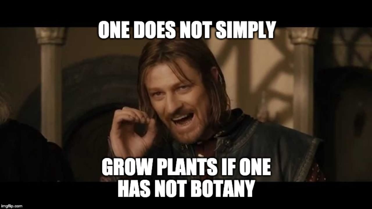 These Plant Memes On Instagram Are Internet Comedy Gold