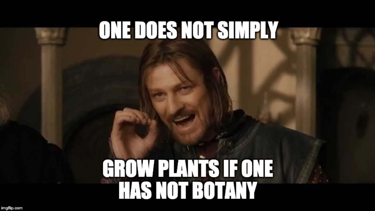 These Plant Memes on Instagram Are Internet Comedy Gold