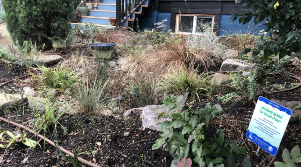 These Rain Gardens Clean City Stormwater with Flowers and Trees