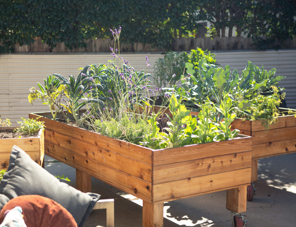 Wooden Raised Beds with Veggies