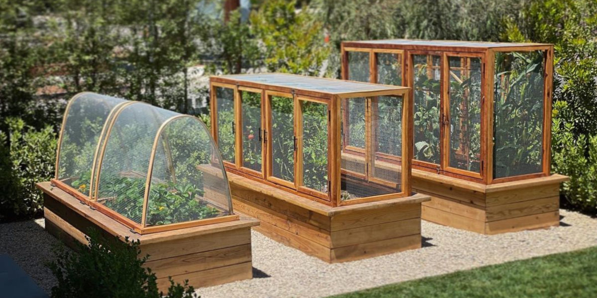 The Best Type of Wood to Use for a Raised Garden Bed • Gardenary