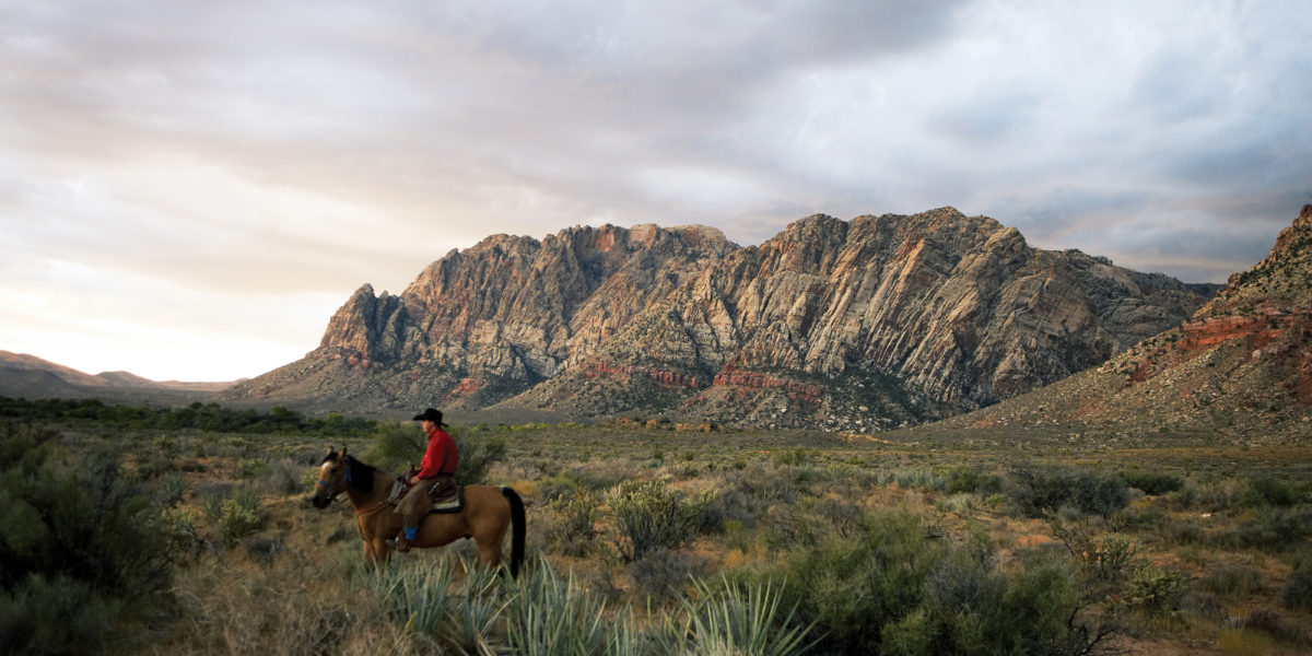 Rider on horse in southwest US