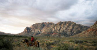 Rider on horse in southwest US