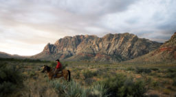 Rider on horse in southwest US