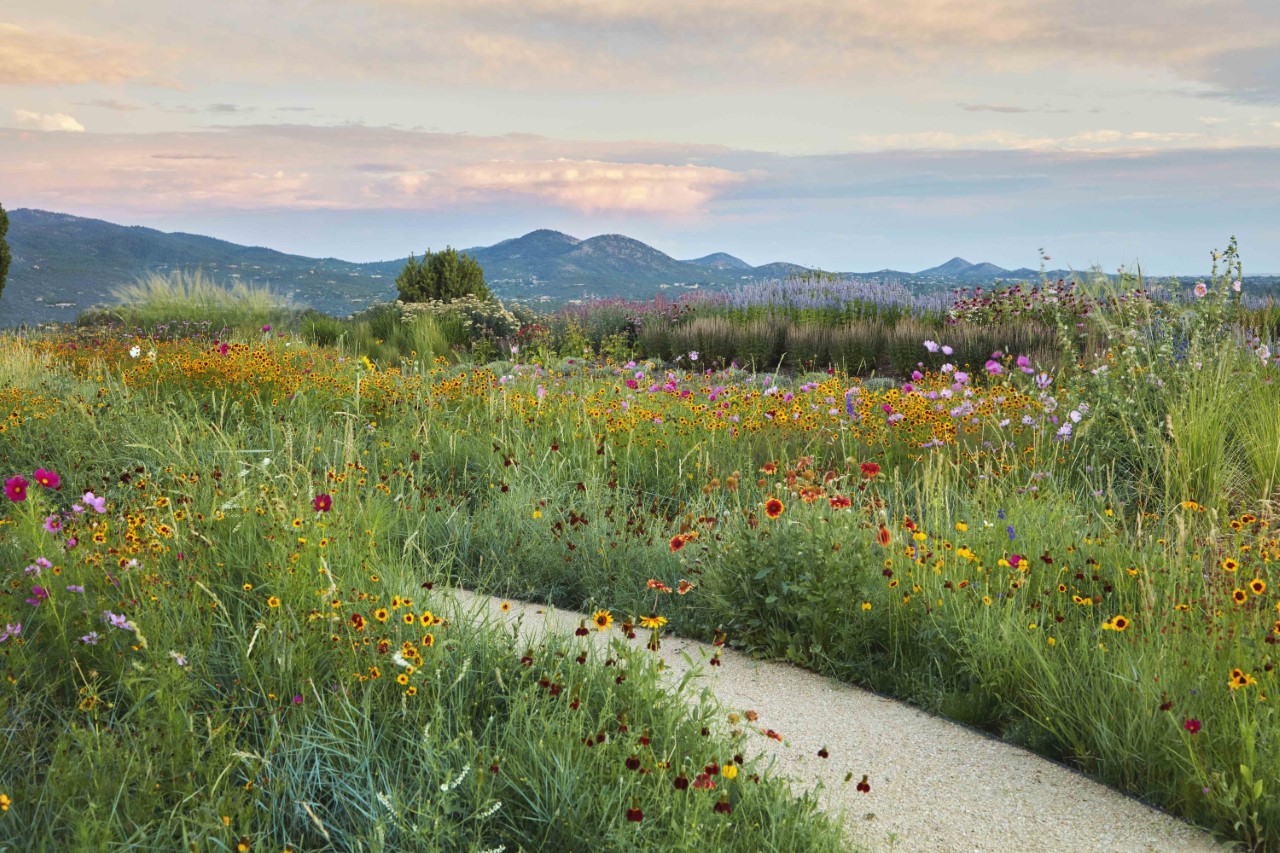 Your Spring Garden Checklist - Sunset Magazine - Vimarsana News