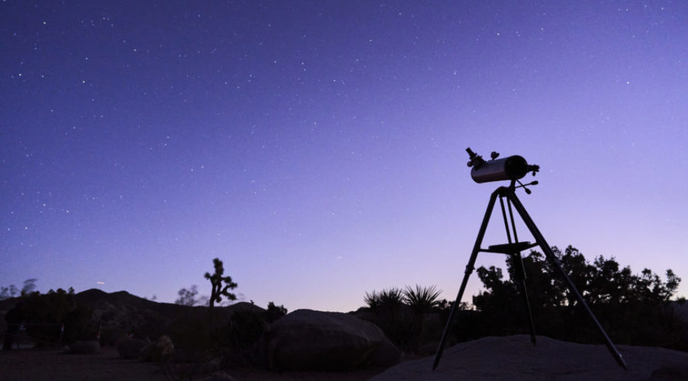 Reach for the Stars: Everything You Need to Throw a Stellar Stargazing Party