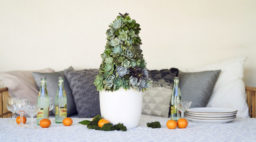 DIY succulent tree for holiday table