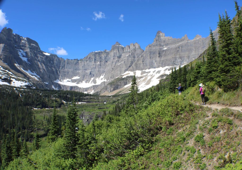 Rock trees trail alpine