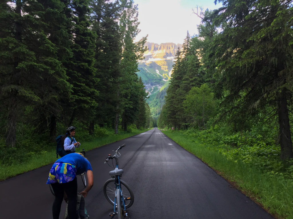 two girls biking trees road