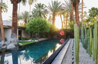 palm trees surrounding Palm Springs pool