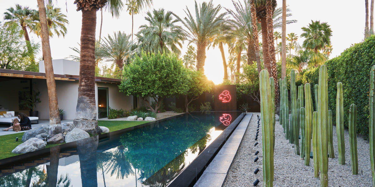 palm trees surrounding Palm Springs pool