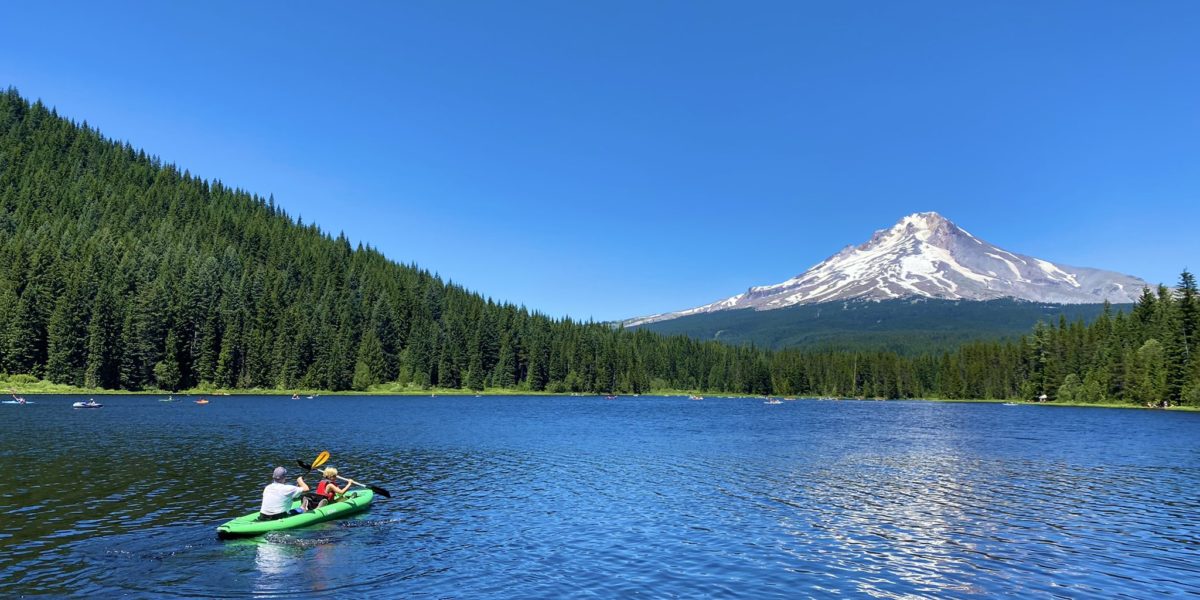 National Forest Week Kicks Off July 12 — Here’s How You Can Celebrate