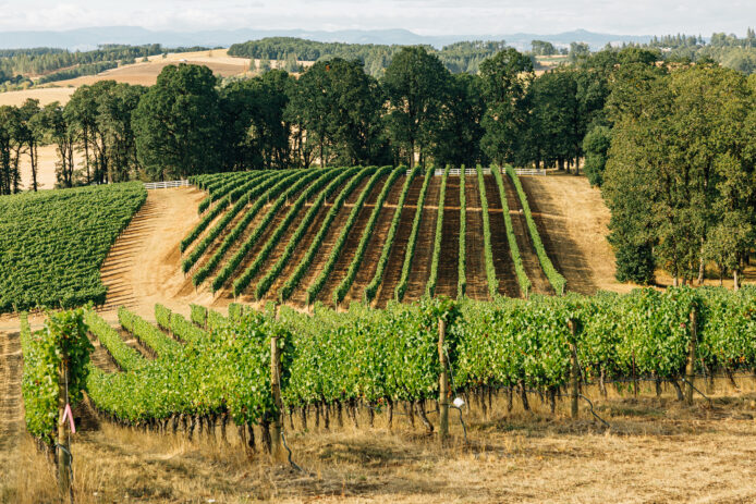 Van Duzer Vineyards