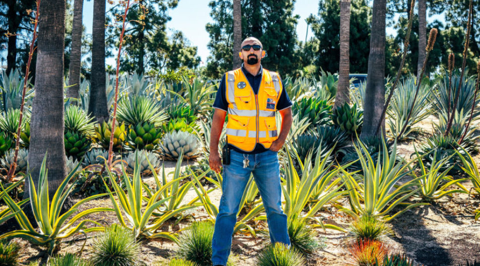 He's Turning Dodger Stadium into a World-Class Garden, One Native Plant at a Time